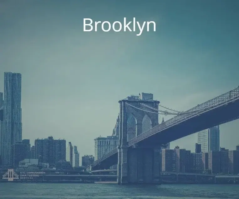 brooklyn dna test